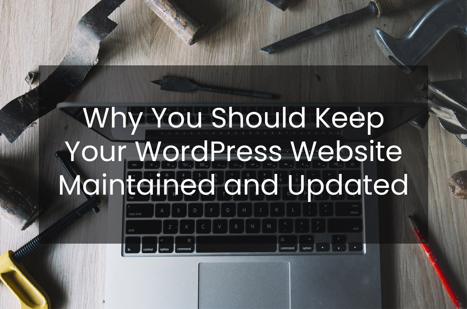 Why You Should Keep Your WordPress Website Maintained and Updated